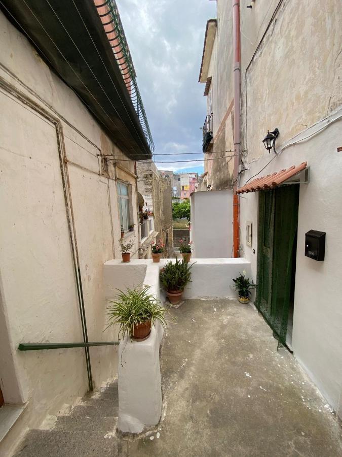 Il Riccio Apartment 28 Procida Bagian luar foto