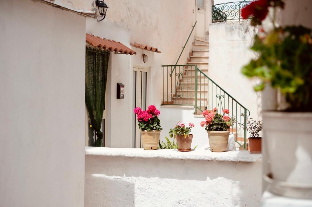 Il Riccio Apartment 28 Procida Bagian luar foto